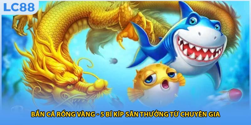 Bắn Cá Rồng Vàng - 5 Bí Kíp Săn Thưởng Từ Chuyên Gia