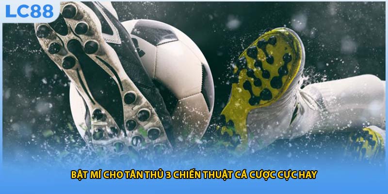 Bật mí cho tân thủ 3 chiến thuật cá cược cực hay