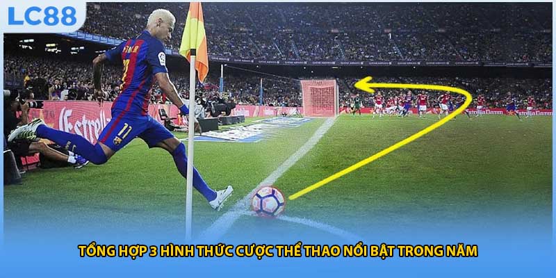 Tổng hợp 3 hình thức cược thể thao nổi bật trong năm